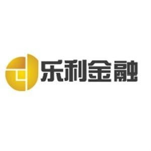 合肥樂利金融信息咨詢服務 賦能企業(yè)與個人的金融決策