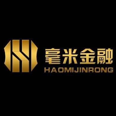 上海毫米金融信息服務 專業(yè)金融信息咨詢的領航者